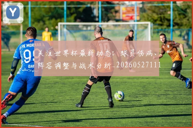 关注世界杯最新动态：球员伤病、阵容调整与战术分析_20260527111751_20260608142619
